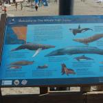 cambriaDR_0235 (November 02, 2019)